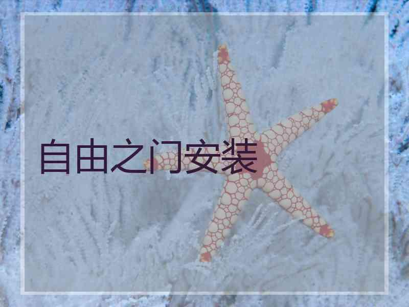 自由之门安装