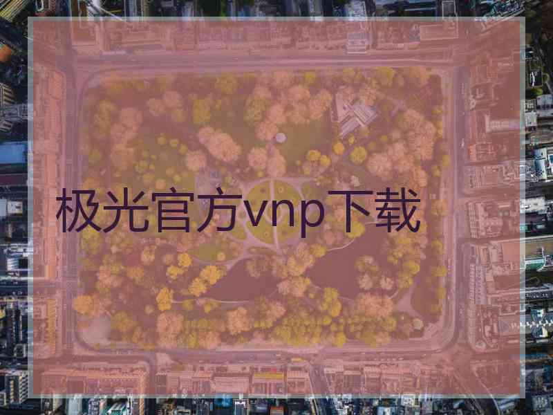 极光官方vnp下载
