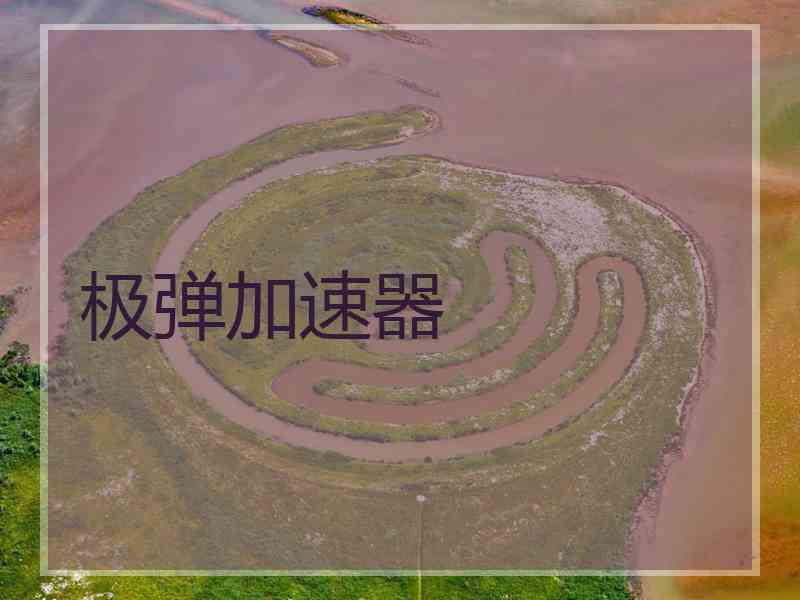 极弹加速器