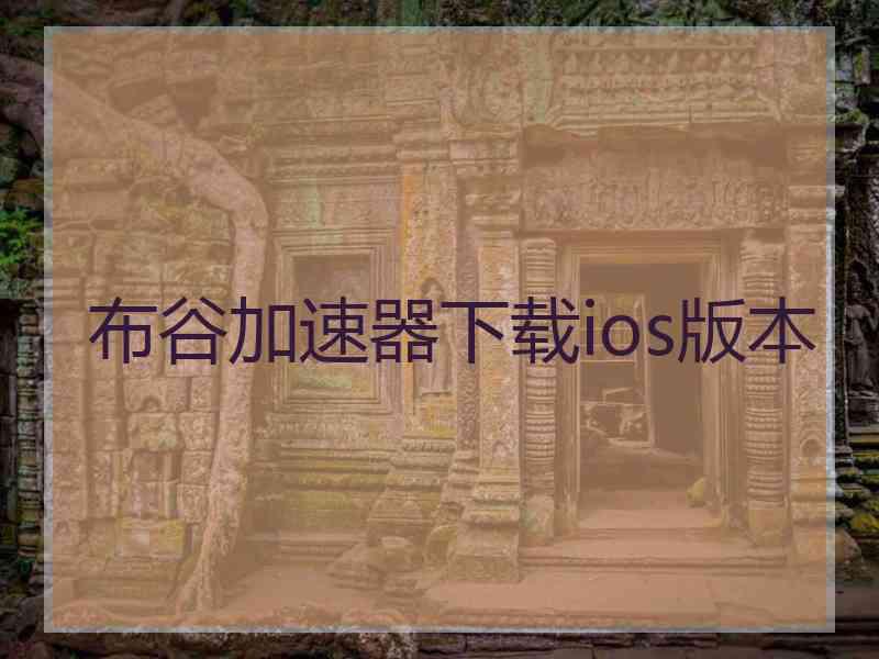 布谷加速器下载ios版本