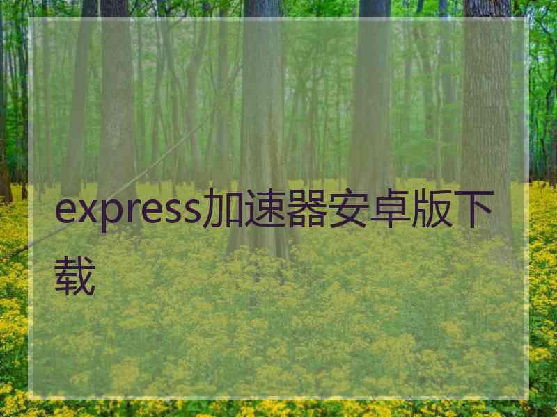 express加速器安卓版下载