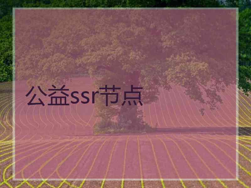 公益ssr节点