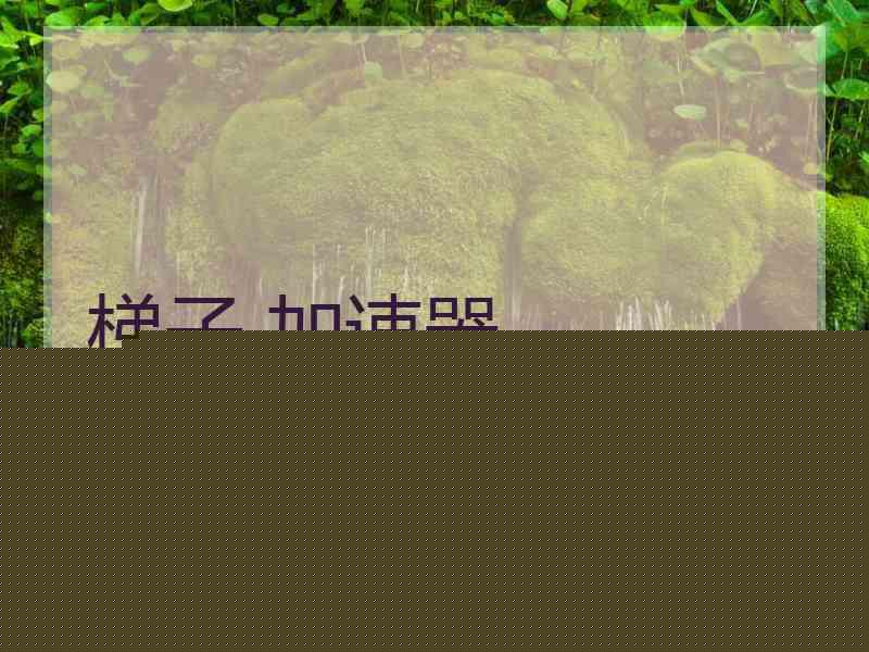 梯子 加速器
