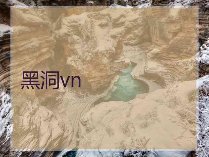 黑洞vn