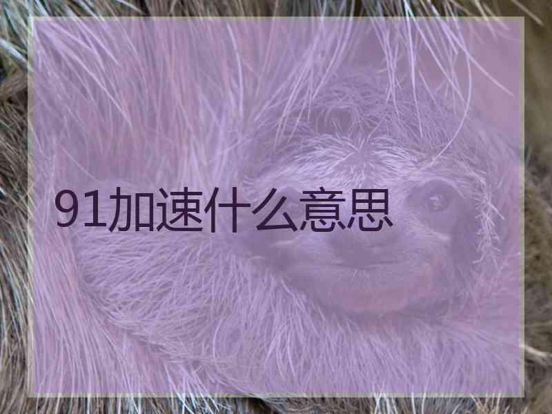 91加速什么意思