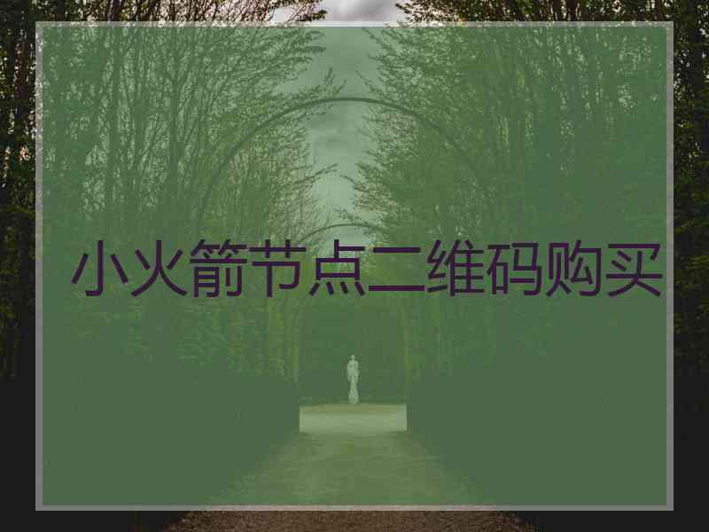小火箭节点二维码购买