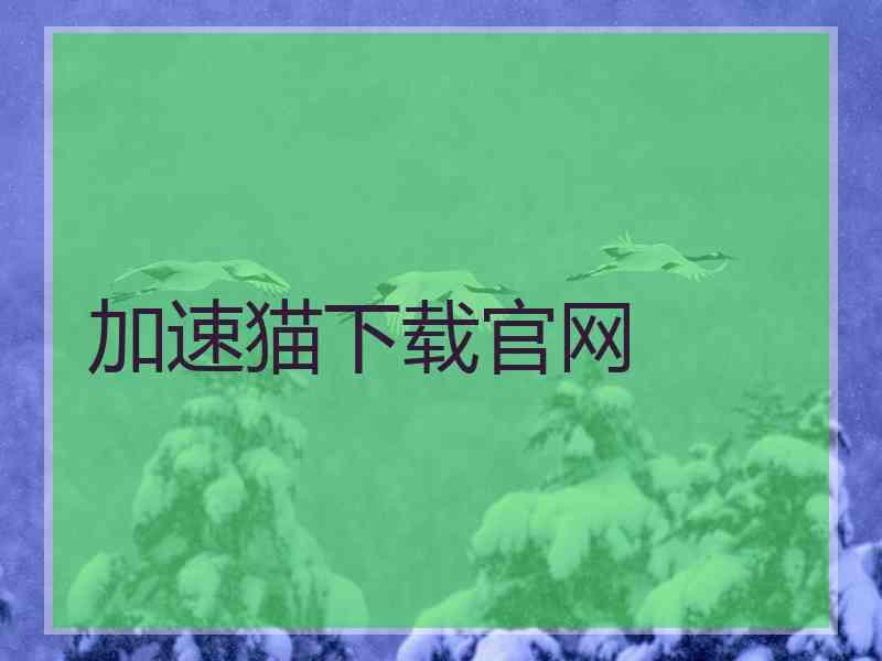 加速猫下载官网
