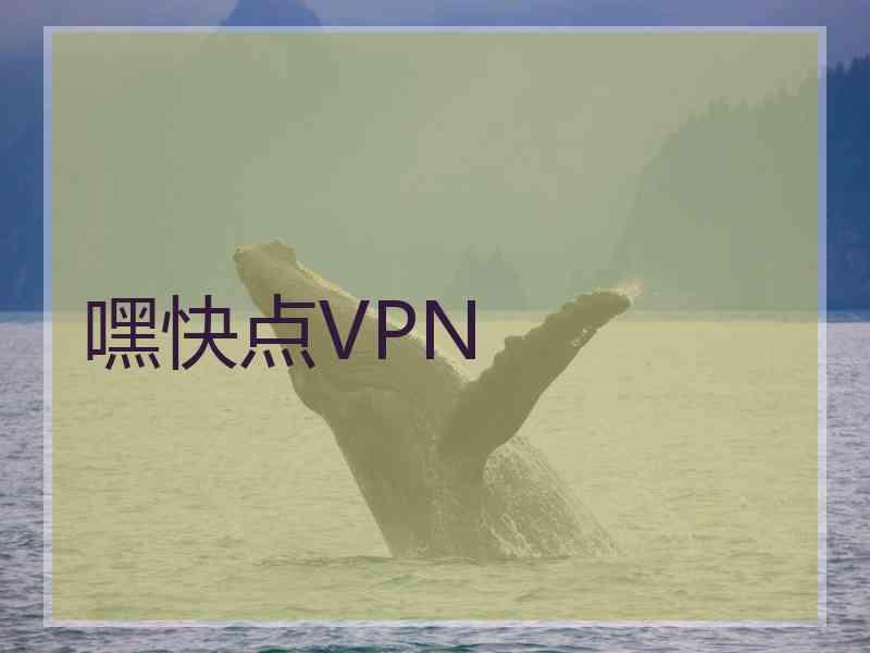 嘿快点VPN